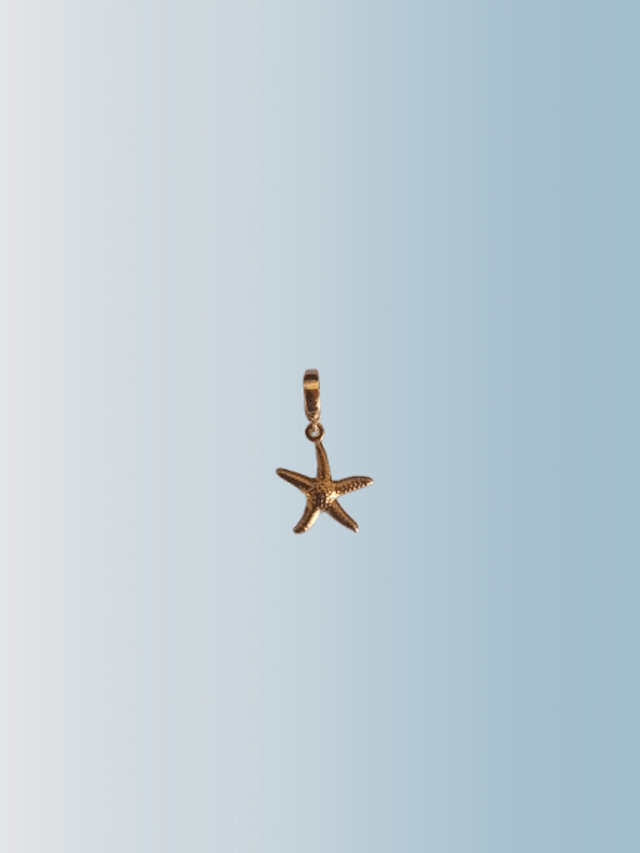 Bijoux maillot de bain